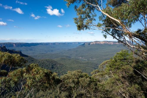 2026 Australien NSW Kristin Sporbeck DSC 4211
