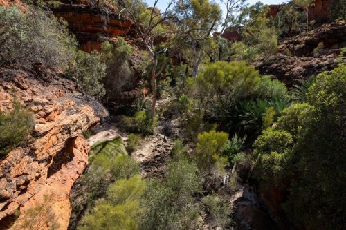 2026 Australien NT Kristin Sporbeck DSC 4370