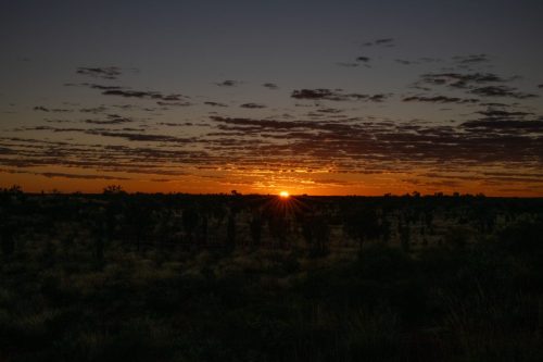 2026 Australien NT Kristin Sporbeck DSC 4503