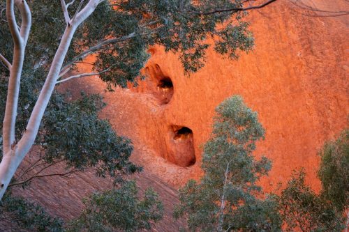2026 Australien NT Kristin Sporbeck DSC 4591