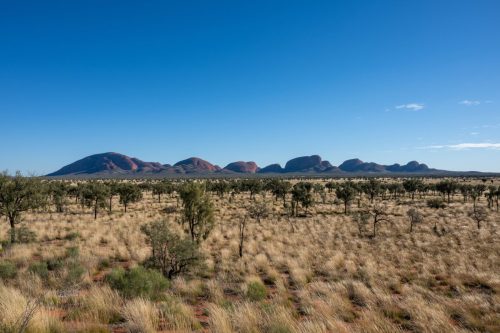 2026 Australien NT Kristin Sporbeck DSC 4671