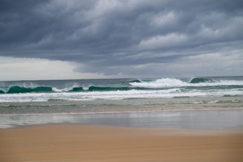 2026 Australien QL Kristin Sporbeck DSC 5338