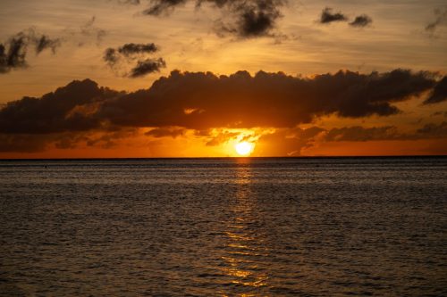 2026 Suedsee Aitutaki Kristin Sporbeck DSC 8413