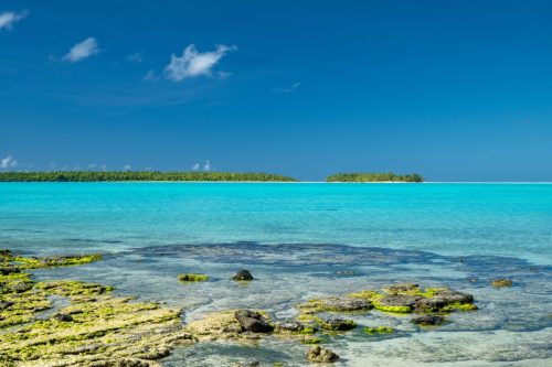 2026 Suedsee Aitutaki Kristin Sporbeck DSC 8587