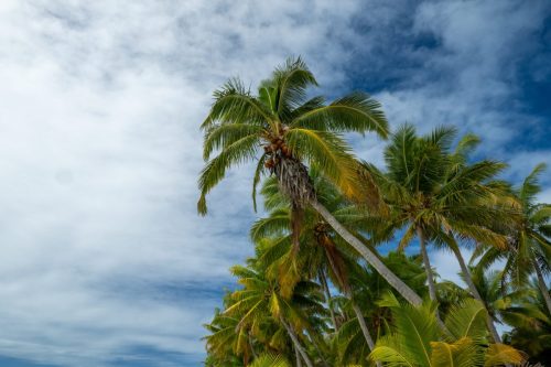 2026 Suedsee Aitutaki Kristin Sporbeck DSC 8625
