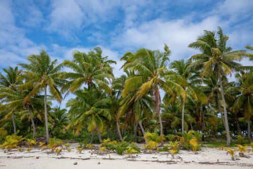 2026 Suedsee Aitutaki Kristin Sporbeck DSC 8631