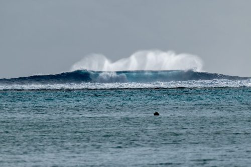 2026 Suedsee Aitutaki Kristin Sporbeck DSC 8989
