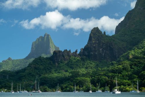 2026 Suedsee Moorea Kristin Sporbeck DSC 0253
