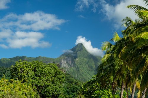 2026 Suedsee Moorea Kristin Sporbeck DSC 0254