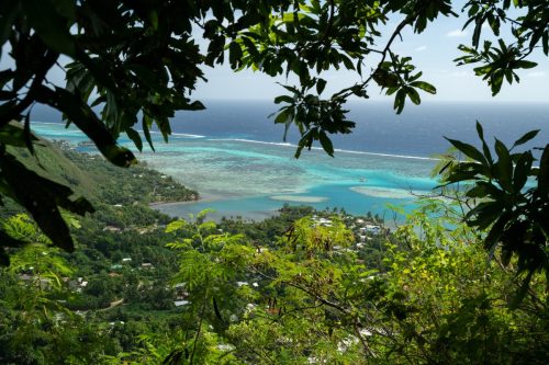 2026 Suedsee Moorea Kristin Sporbeck DSC 0407