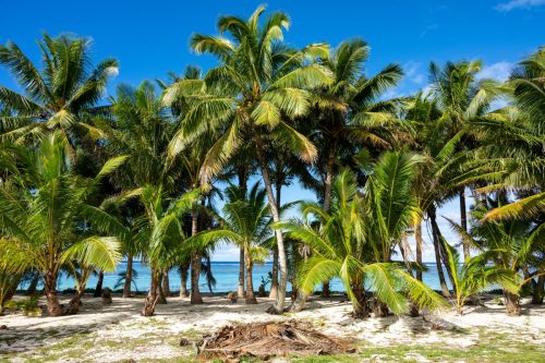 2026 Suedsee Rarotonga Kristin Sporbeck DSC 7975