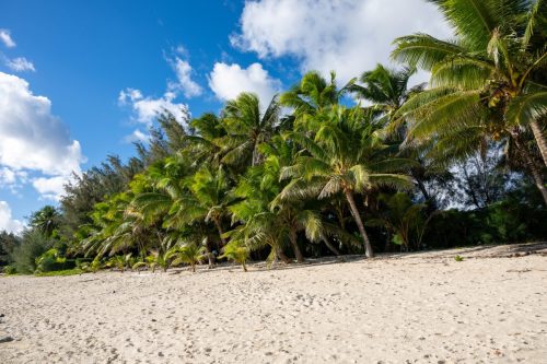 2026 Suedsee Rarotonga Kristin Sporbeck DSC 8179