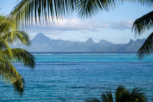 2026 Suedsee Tahiti Kristin Sporbeck DSC 9492