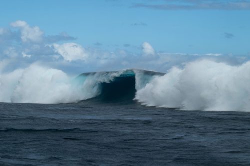 2026 Suedsee Tahiti Kristin Sporbeck DSC 9954