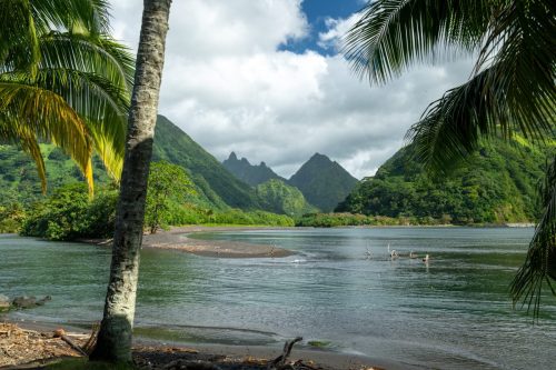 2026 Suedsee Tahiti Kristin Sporbeck DSC 9981