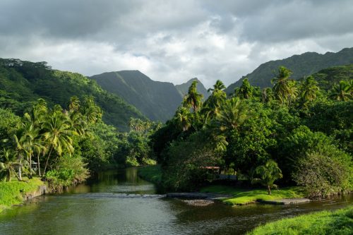 2026 Suedsee Tahiti Kristin Sporbeck DSC 9987