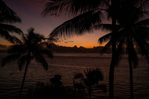 2026 Suedsee Tahiti Kristin Sporbeck DSD 0017