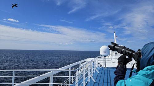 Kristin Sporbeck Headshots 2025 10 29 11 30 14